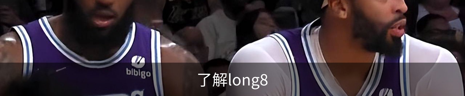 了解long8